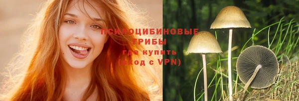 сатива Бугульма