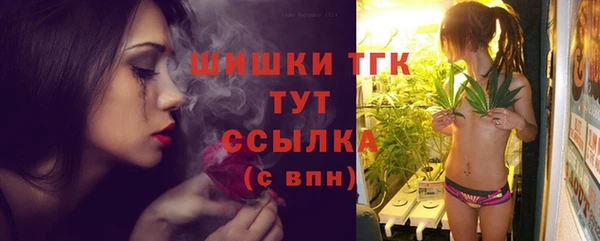 прущий лед Богданович