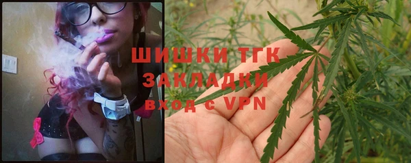 дживик Тайга